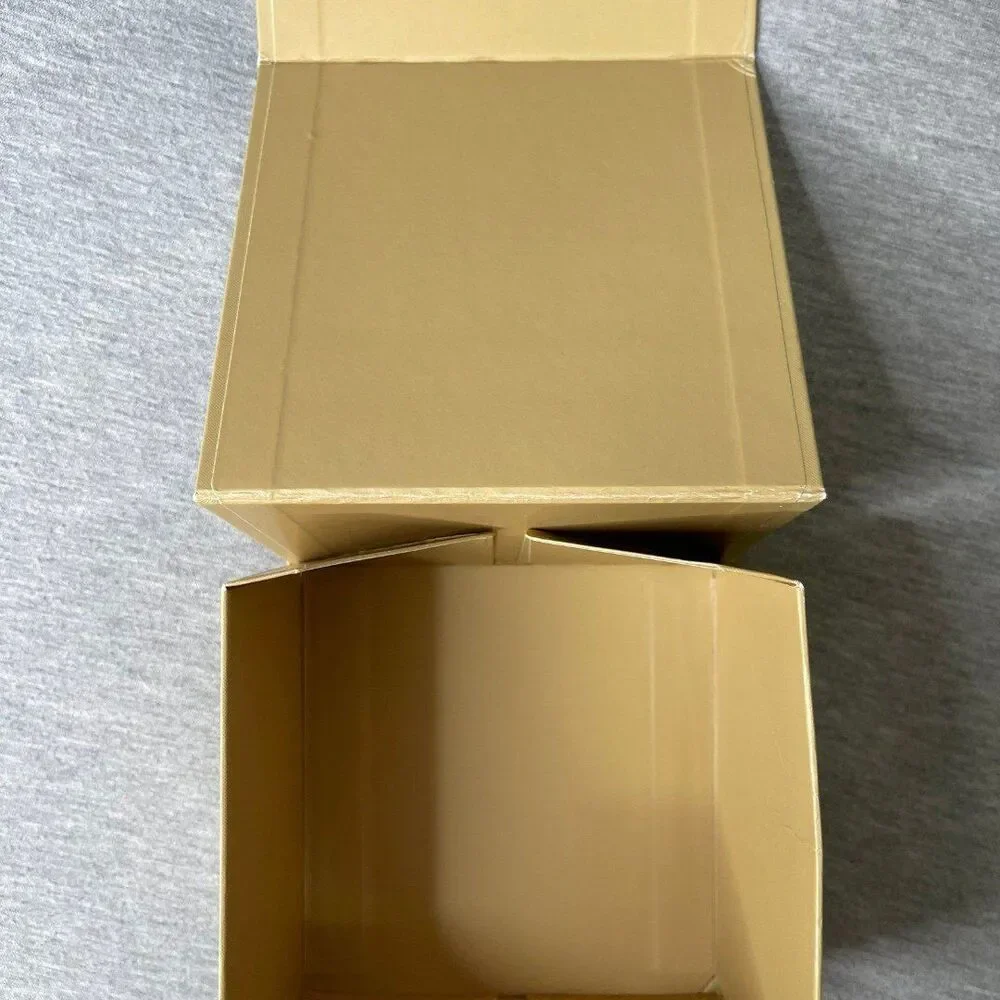 Michael Kors comes box